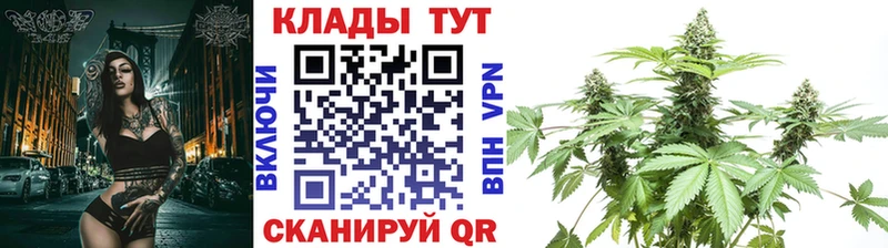 Где купить наркотики Покачи ГАШ МАРИХУАНА Alpha-PVP АМФ Мефедрон