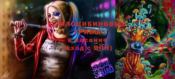 трава Абаза
