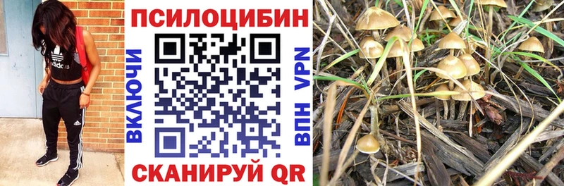 Псилоцибиновые грибы прущие грибы  где продают наркотики  Покачи 
