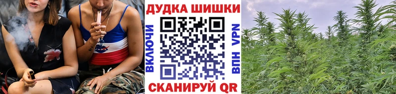 Каннабис план  Покачи 
